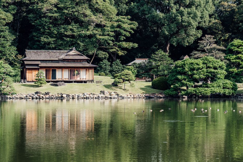 反射する池のそばに伝統的な木造建築物がある静かな日本庭園の風景。