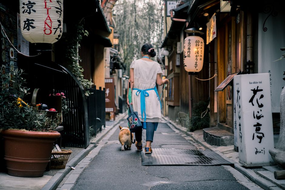 狭い路地で彼女の犬を歩いている女性の背面図の写真