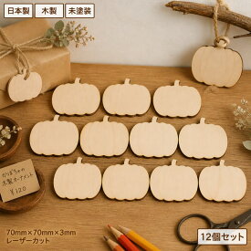 兎 木製工作キット ギフト