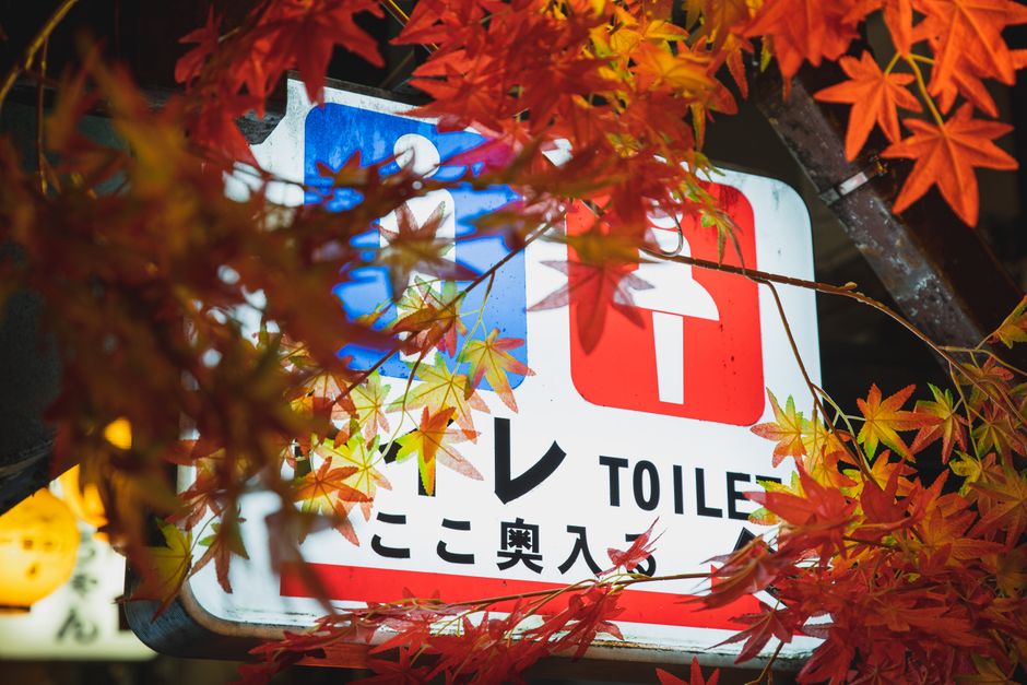 東京の夜、鮮やかな日本の紅葉に囲まれたトイレの標識。